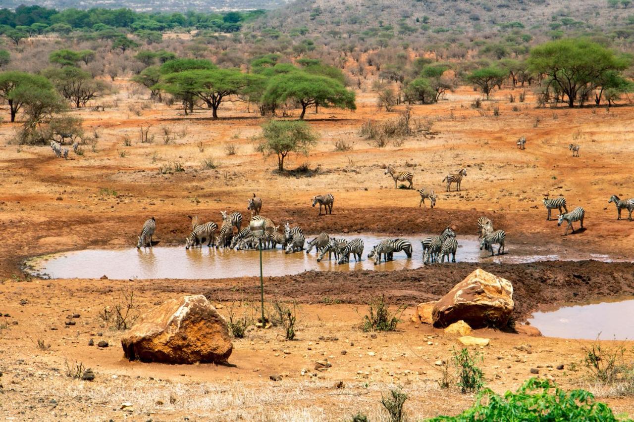 Kilaguni Serena Safari Lodge Tsavo Экстерьер фото
