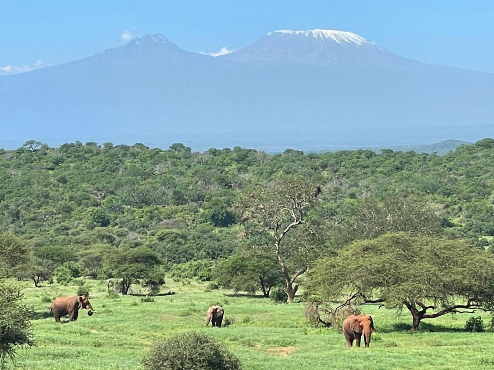 Kilaguni Serena Safari Lodge Tsavo Экстерьер фото