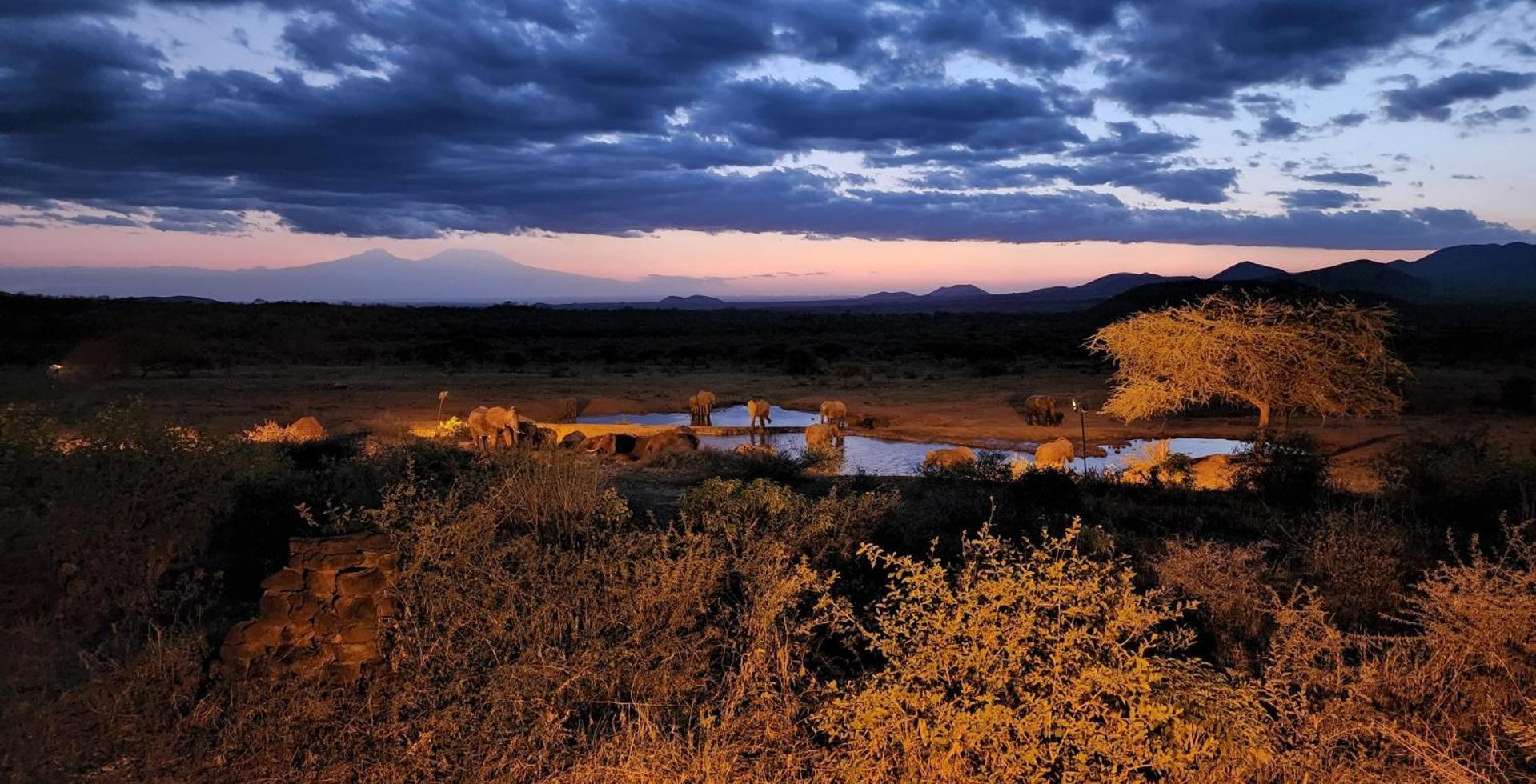 Kilaguni Serena Safari Lodge Tsavo Экстерьер фото